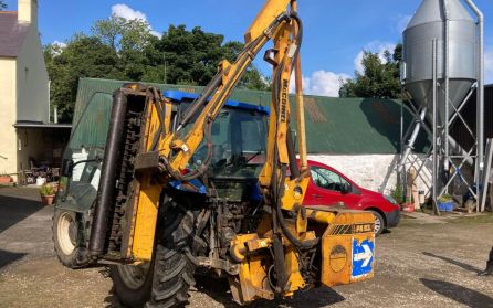 267135981_439322611153437_1241180740385428774_n