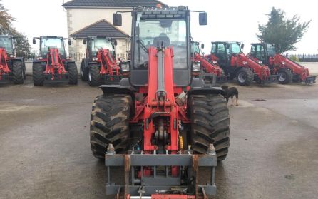 72656311_613774669154608_22372922731528192_n